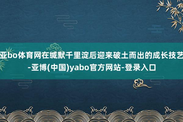 亚bo体育网在缄默千里淀后迎来破土而出的成长技艺-亚博(中国)yabo官方网站-登录入口