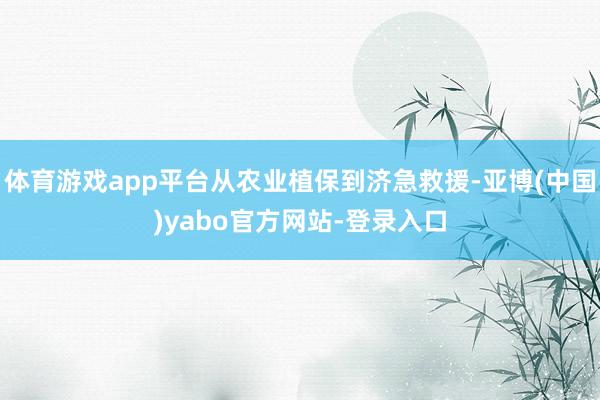 体育游戏app平台从农业植保到济急救援-亚博(中国)yabo官方网站-登录入口
