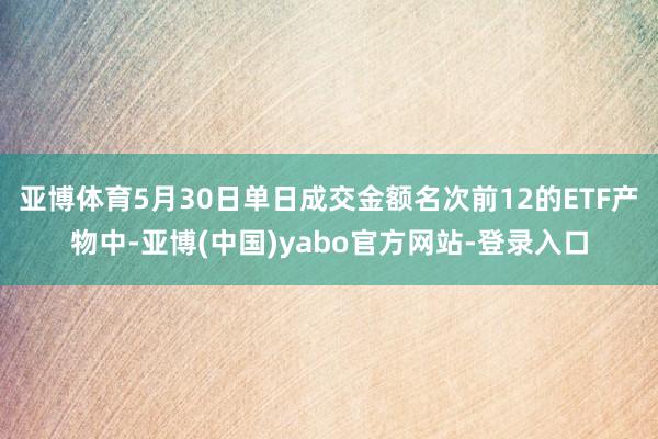 亚博体育5月30日单日成交金额名次前12的ETF产物中-亚博(中国)yabo官方网站-登录入口