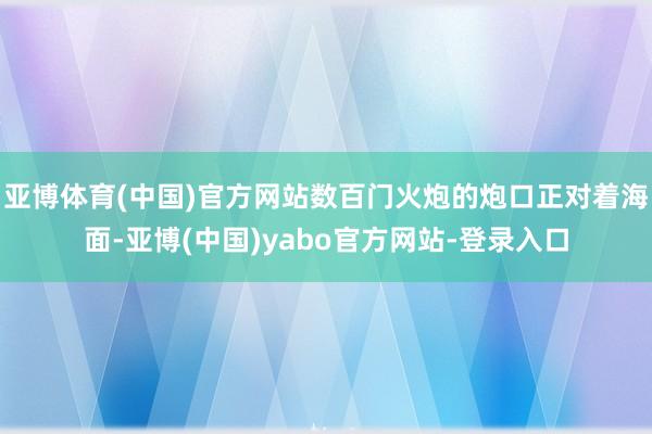 亚博体育(中国)官方网站数百门火炮的炮口正对着海面-亚博(中国)yabo官方网站-登录入口