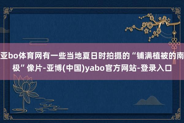 亚bo体育网有一些当地夏日时拍摄的“铺满植被的南极”像片-亚博(中国)yabo官方网站-登录入口